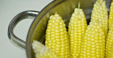 Где варят кукурузу. Вареная кукуруза. Рецепт запекания кукурузы в микроволновой печи
