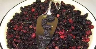 Mulberry jam ከካራሚል ጣዕም ጋር ሙልበሪ ጃም